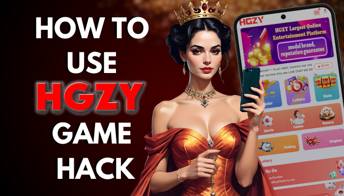 How to Use HGZY Game Hack